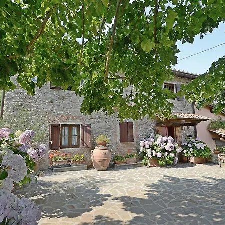 Villa Docciolina Greve in Chianti